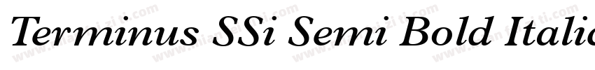 Terminus SSi Semi Bold Italic字体转换